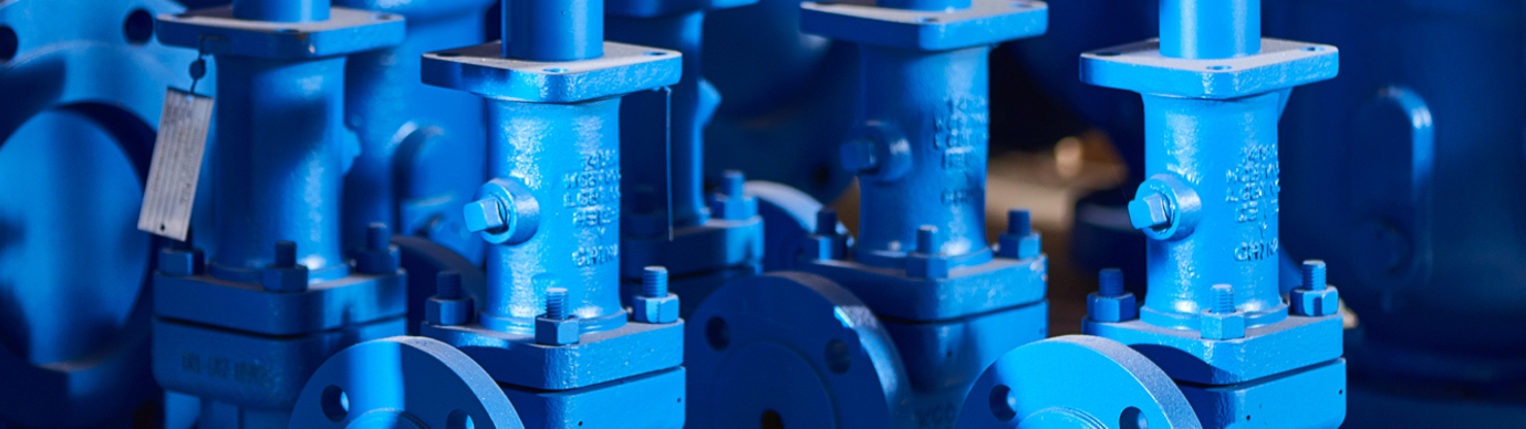 Relief Valve Spare Pool Program