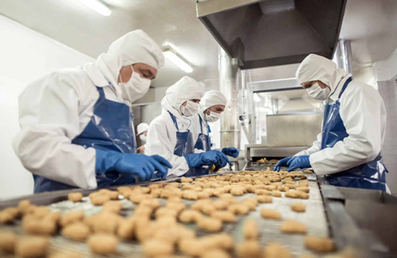 Team in protective clothing checks food items, focusing on quality control in a food and beverage production environment.