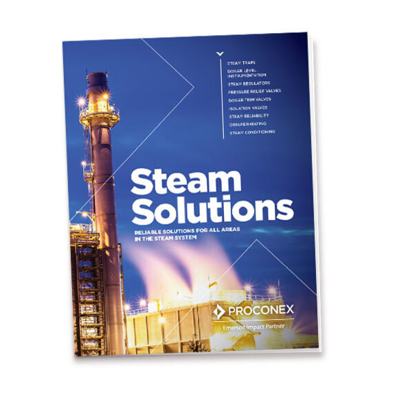 Proconex Steam Solutions Brochure 082825.Pdf