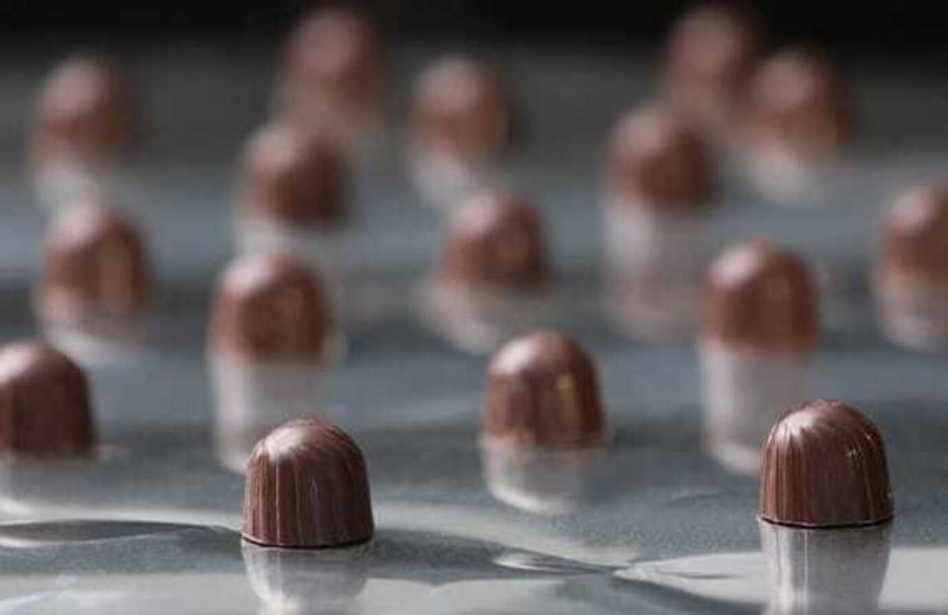 Batch processing of delicious chocolate candies on a production line, showcasing the meticulous craftsmanship and quality control.