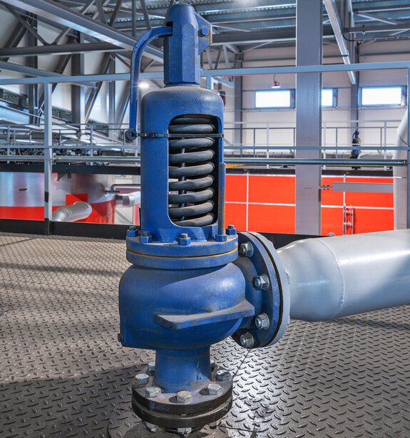 Safety Relief Valves