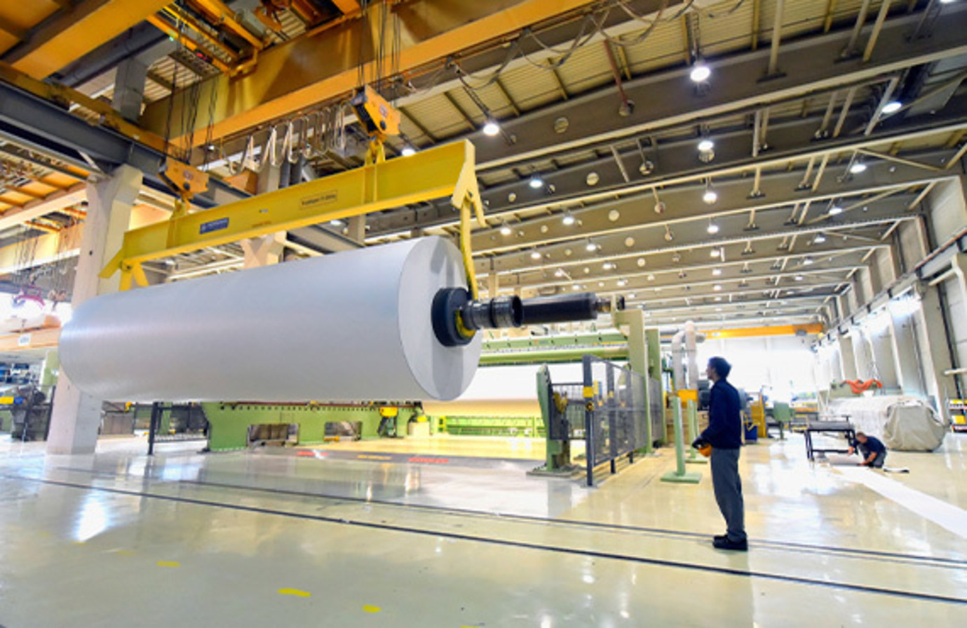 A factory worker stands before a large roll of paper, showcasing the scale of production in the pulp and paper industry.