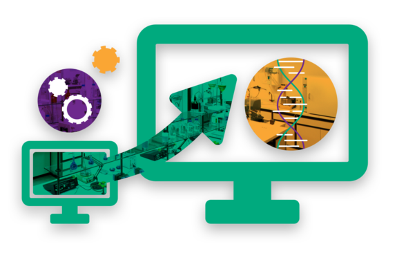 Develop Your IT Foundation