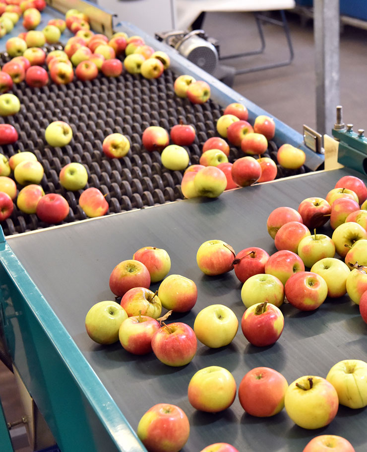 Food & Beverage Food & Beverage