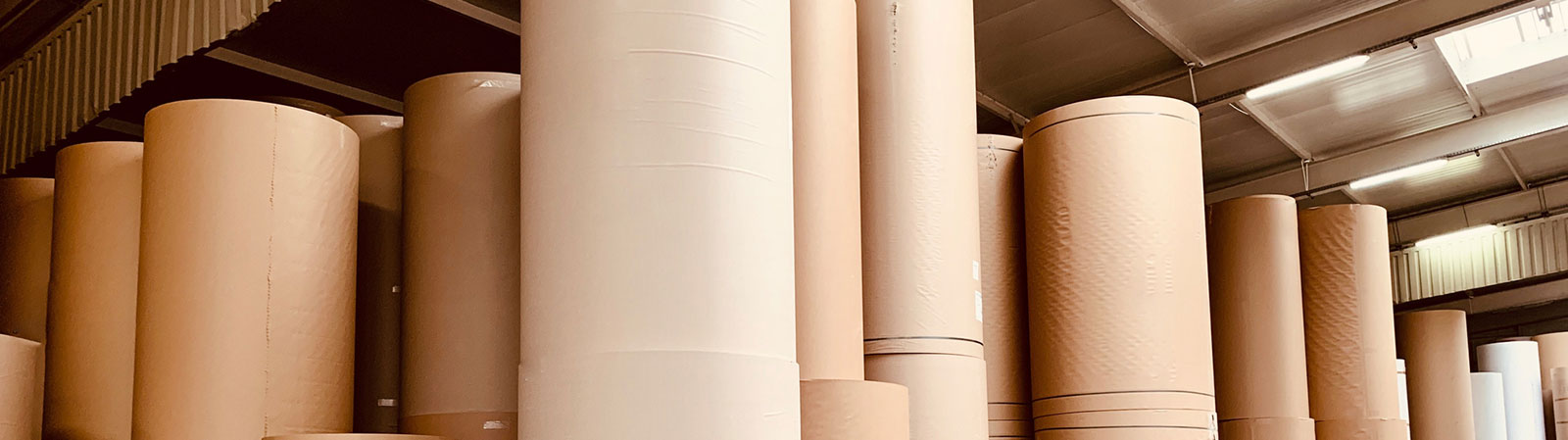 Pulp & Paper Solutions