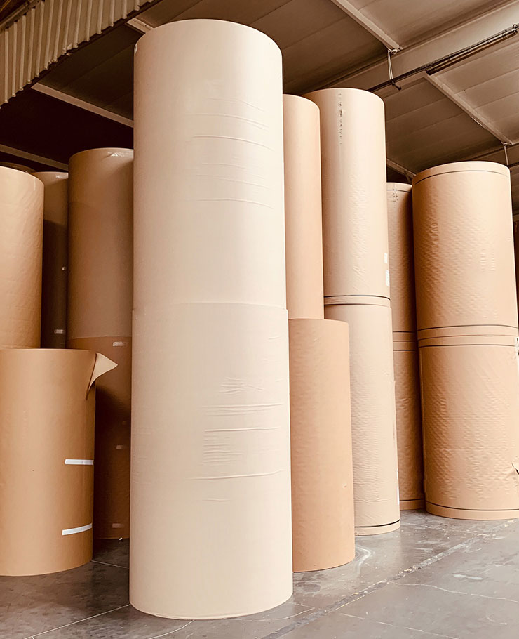 Pulp and Paper Pulp and Paper